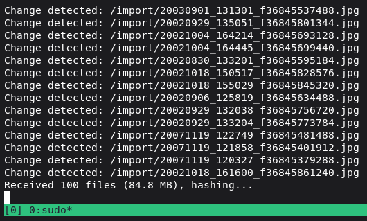 immich-cli upload.