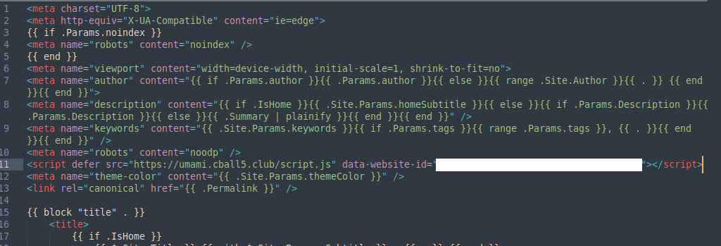 Script tag embedded in website code